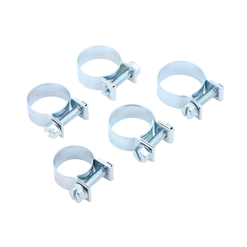 Jubilee Hose Clips 10Pcs Set f - Tippet Line recension och pris
